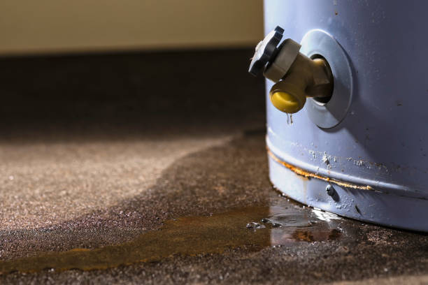 Best Water damage restoration cost  in Stevensville, MD