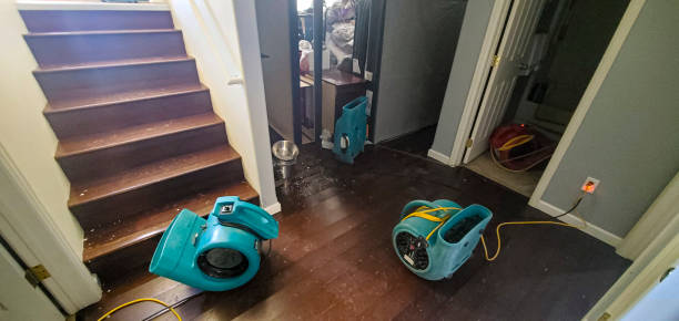 Water damage restoration experts in Stevensville, MD