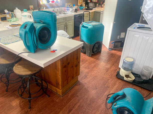 Best Water damage restoration specialists  in Stevensville, MD