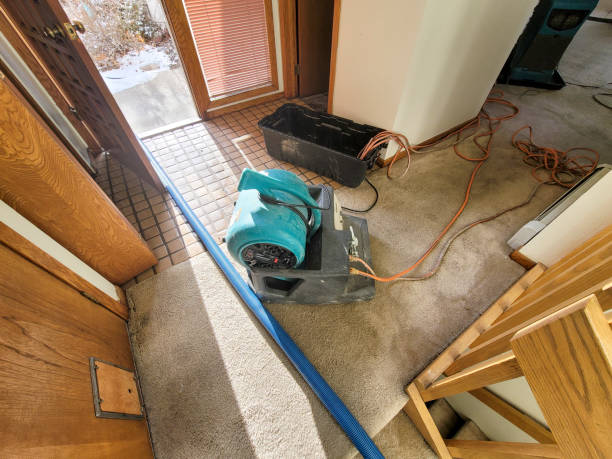 Best Fire Damage Restoration  in Stevensville, MD