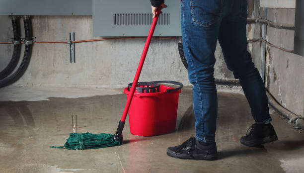 Sewage cleanup and water damage restoration in Stevensville, MD