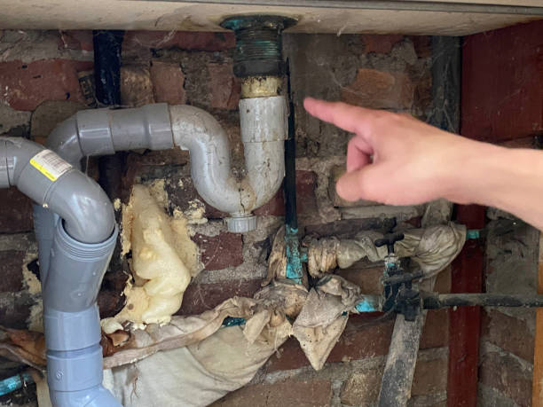 Best Water damage contractors near me  in Stevensville, MD